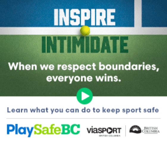 Campaign Execution & Optimization