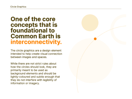 Visual Identity and Guidelines